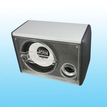 正记汽车音响公司投资咨询分析