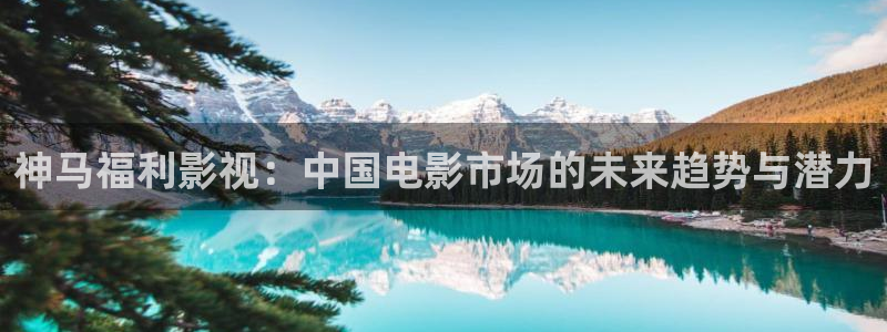 桔子午夜电影网