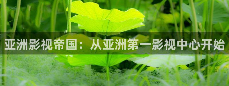 橘子桔子