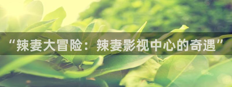 桔子视频电视剧免费观看