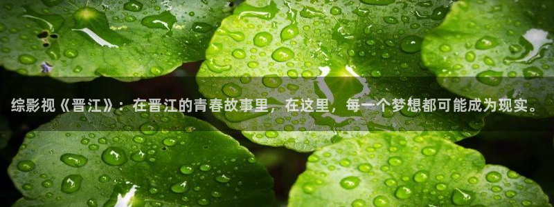 桔子电影天堂：综影视《晋江》：在晋江的青春故事里，在这里，每一个梦想都可能成为现实。