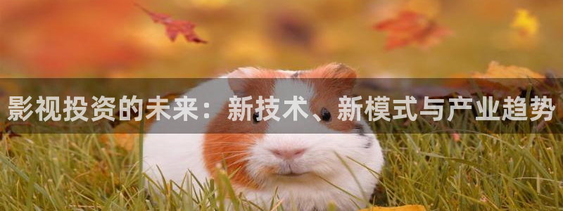 桔子短视频在线观看：影视投资的未来：新技术、新模式与产业趋势