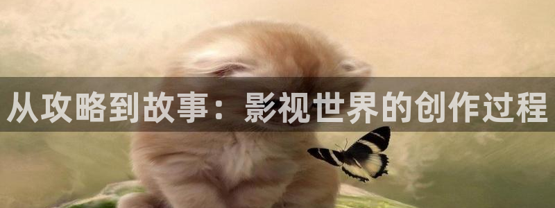 橘子和桔子：从攻略到故事：影视世界的创作过程