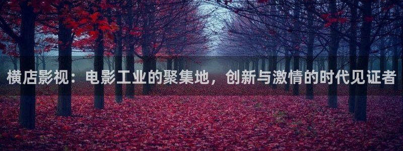桔子影院免费入口