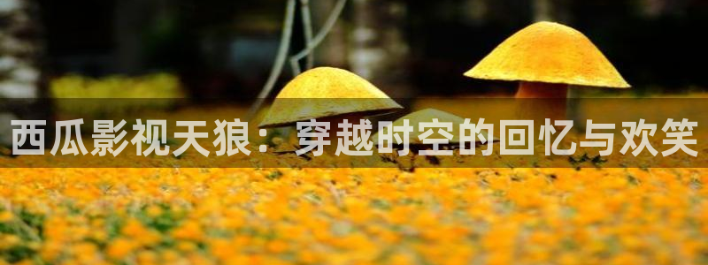 桔子在线观看视频