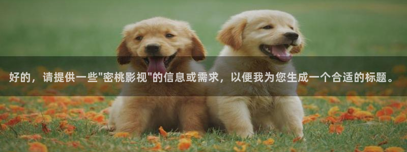 桔子视频在线播放