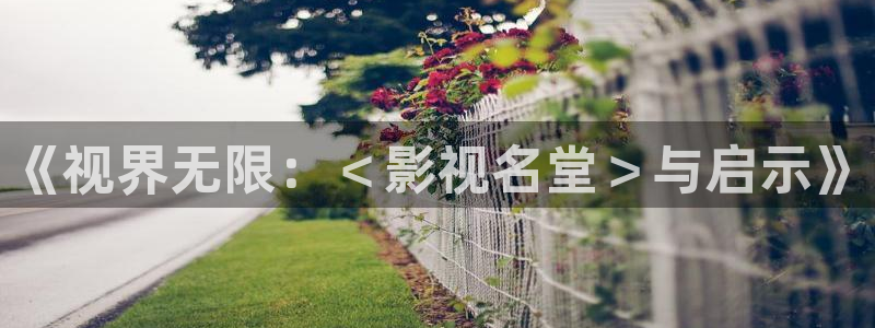 桔子红了视频