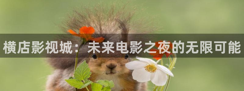 桔子视频在线观看高清电视剧